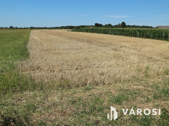 Egyházashollós,3 belterületi telek eladó,külön is. 2100m2/db