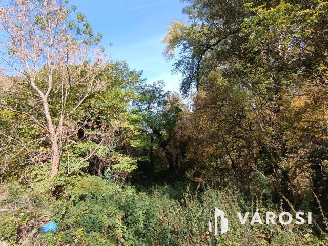 Eladó telek a természet lágy ölén